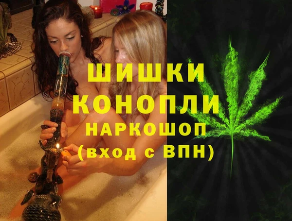 дживик Верея