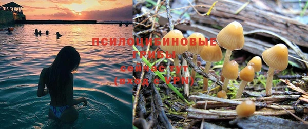 дживик Верея
