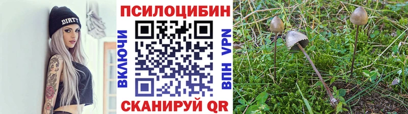 Псилоцибиновые грибы Magic Shrooms  Ессентуки 